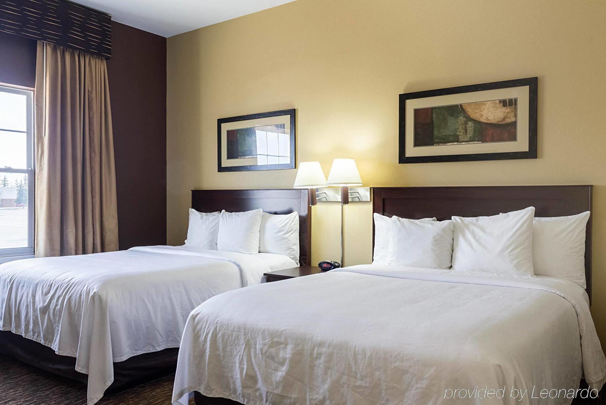 Mainstay Suites Minot Ngoại thất bức ảnh